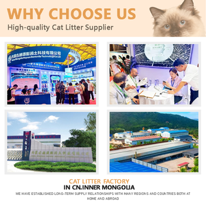<span class=keywords><strong>Litière</strong></span> pour chat Manxiaomeng Grey Quick Agglomerate Eco-Friendly Clean Anti-Allergenic Odor Removal Activated Carbon Ball Sand - Product Image 6