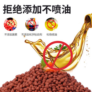 Nai Chong Flame Tortoise Food 1200ml High Protein Shell Protection Floating Pellets For <b>Ornamental</b> Turtles - Product Image 4