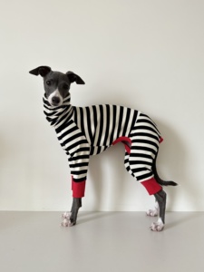 Ropa para Perros de Otoño Invierno, Protección para el Vientre, Cuatro Patas, Tela de Algodón Puro, Suave, Jersey con Rayas, Puños Rojos, Ropa para Perros Pequeños - Product Image 6