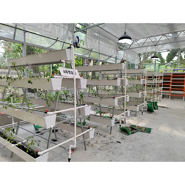 農業用温室で使用される温室製品の種類無土壌栽培技術