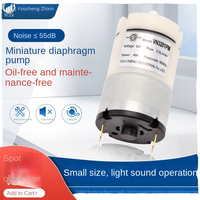 Pompe à air micro 12V DC, petite pompe électrique à diaphragme, équipement de beauté, emballage, basse pression, moteur sans balais Jianyue YCX-DC-01