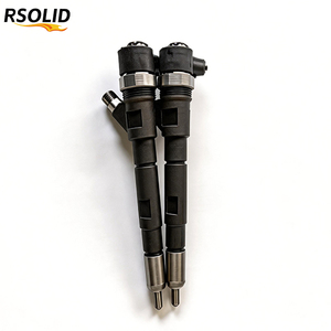 Inyector de Combustible Diésel Common Rail Rsoliddiesel 0445110251 0986435125 para Motor D5244T D5244T4 D5244T5, Piezas de Motor Diésel - Product Image 1