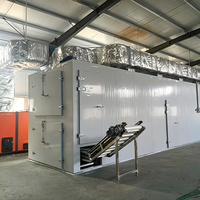 Automatische gaasbanddroger continue transportband tunnel voedseldroger voor de verwerking van groenten en fruit
