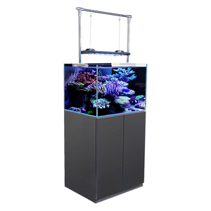 Hoogwaardig randloos zeeaquarium complete set zoutwater mini koraalrif <span class=keywords><strong>aquarium</strong></span> - Product Image 2