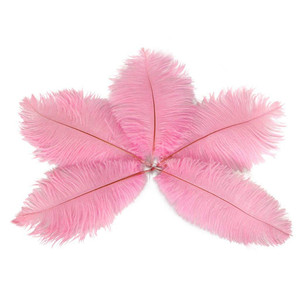 Petit pôle mince en résine d'autruche, 25-30cm, 10-12 pouces, décoration de plumes d'autruche, mur de <span class=keywords><strong>plume</strong></span> rose en vrac - Product Image 4