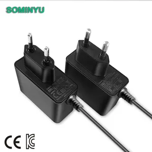 4.2V1A 8.4V1A 12.6V1A 리튬/납산 배터리 충전기 ROHS CE 인증서