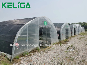 Serres tunnel de bonne qualité avec tour hydroponique Poly Tunnel serre verte pour tomates <span class=keywords><strong>à</strong></span> <span class=keywords><strong>vendre</strong></span> - Product Image 6