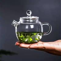 Mini théière en verre borosilicate 150 ml/5 oz avec infuseur, résistante à la chaleur, bouilloire pour cuisinière, style nordique, transparente, pour faire bouillir l'eau ou faire infuser des fleurs