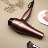 Sèche-cheveux professionnel 2000W Usine OEM Salon Ionique Salon professionnel Sèche-cheveux avec diffuseur