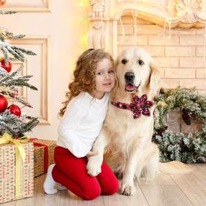 HIPHOPPET, venta al por mayor, <span class=keywords><strong>Collar</strong></span> navideño para mascotas, copo de nieve, pajarita, patrón Floral, collares de hebilla separables ajustables para perros y gatos - Product Image 5