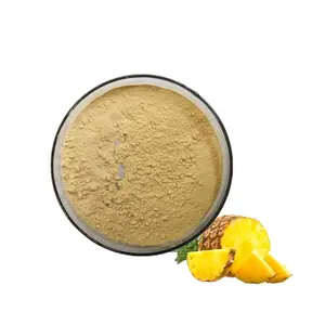 Foods Industry Meat Tenderizer Pure Natural Pineapple Extract Bromelain Powder