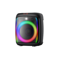 Altavoz Bluetooth de 100W RMS con Logotipo Personalizado, Fabricante OEM ODM, Molde Privado, Caja Colorida, CE RoHS, Bajo MOQ, Venta al Por Mayor