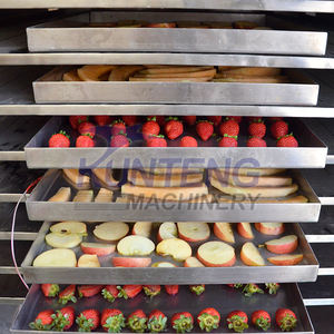 Tecnología compacta diseño integrado liofilizador máquinas de entrada de 200 kg que pueden hacer dulces liofilizados alimentos frutas vegetales - Product Image 5