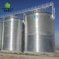 Silo en acier à fond plat isolé pour convoyeur à bande et élévateur à godets pour usine de transformation de la farine