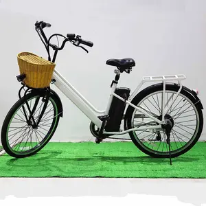 Sıcak satış moda elektrikli bisiklet şehir bisikleti E bisiklet şehir dağ bisikleti yetişkinler için kadın erkek