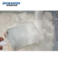 Machine à glace Focusun 3 tonnes/24 heures pour refroidissement industriel, conservation du poisson et des fruits de mer, concentration de glace de 5 à 40%