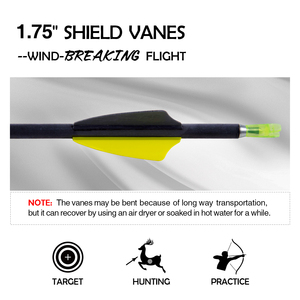 Khuyến mãi HOT! Mũi tên Carbon nguyên chất 4.2mm Sp500 600 700 800 900 1000 1300 1500 dùng cho cung <span class=keywords><strong>recurve</strong></span>/cung compound tập luyện bắn cung - Product Image 4