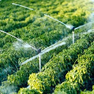 Medidor de Flujo Ultrasónico F3CL F3RO de Diámetro Pequeño con Abrazadera Externa, Equipo de Limpieza, RS485/4-20mA, para Plantas de Agua y Energía - Product Image 5
