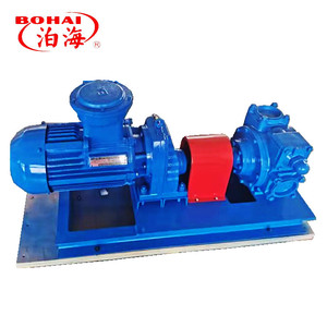 ปั๊มสุญญากาศ BOHAI YPB50 OEM 8 แรงม้า สำหรับอุตสาหกรรม ป้องกันการระเบิด กำลังไฟ 3 กิโลวัตต์ แรงดัน 0.4 เมกะปาสคาล - Product Image 3