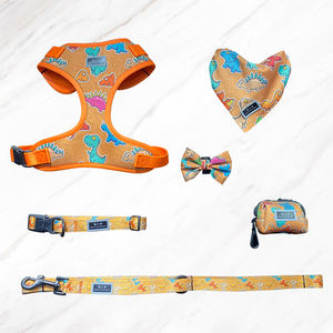 Haustier Halsbänder Leashold Slip Blei Leine Walking Cross body Hunde geschirr Soft Bag PVC-Kragen Spike Chain Halskette Hanf - Product Image 2