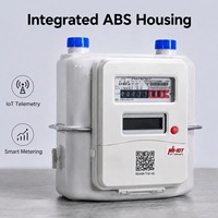 Medidor de Gas de Diafragma para Internet de las Cosas