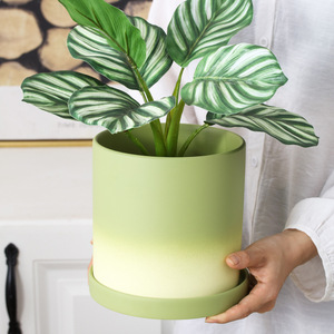 Maceta de Plástico P375 para Suculentas, Orquídeas, Bambú, Cambio Gradual, Simple, Grande, Creativa, Personalizada, <span class=keywords><strong>Epipremnum</strong></span> <span class=keywords><strong>Aureum</strong></span>, Phalaenopsis - Product Image 3