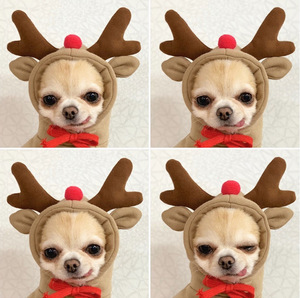Vêtements pour animaux de compagnie de style hiver de Noël amusants, costume de chien en dessin animé 3D, sweat-shirts en polaire pour petits chiens - Product Image 6