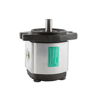 ARGO-HYTOS เกียร์ปั๊ม GP1/<span class=keywords><strong>GP2</strong></span>/GP3 series GP1-0034 R97F/20N ภายนอกแรงดันสูงเกียร์ไฮดรอลิกปั๊มน้ํามัน GP1 ปั๊ม - Product Image 6