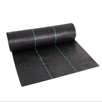 Tissu géotextile en tissu tissé PP pour arrêter la croissance de l'herbe barrière contre les mauvaises herbes et tissu de contrôle des mauvaises herbes couverture de sol de jardin tapis anti-UV contre les mauvaises herbes