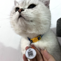 Etiqueta de Collar para Mascotas con Código QR NTAG 216 de 888 Bytes, Etiqueta RFID NFC de Epoxi para Animales, Precio de Fábrica