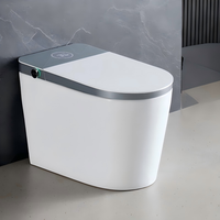 Toilettes intelligentes de luxe avec eau chaude et air chaud, WC universels pour hôtel