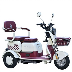 Tricycle électrique pour adultes, personnes âgées, enfants, femmes, <span class=keywords><strong>petite</strong></span> <span class=keywords><strong>taille</strong></span>, fonction ouverture/fermeture, vitesse 30 km/h, charge utile 100-200 kg, autonomie 50-70 km - Product Image 1