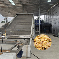 Machine de séchage à bande continue pour tranches de gingembre, ligne de production de nettoyage, découpe et séchage du gingembre, déshydrateur de gingembre