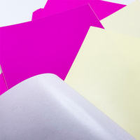 Étiquettes autocollantes promotionnelles personnalisées en usine, fluorescentes, durables, à gratter, avec adhésif puissant, imprimables et inscriptibles