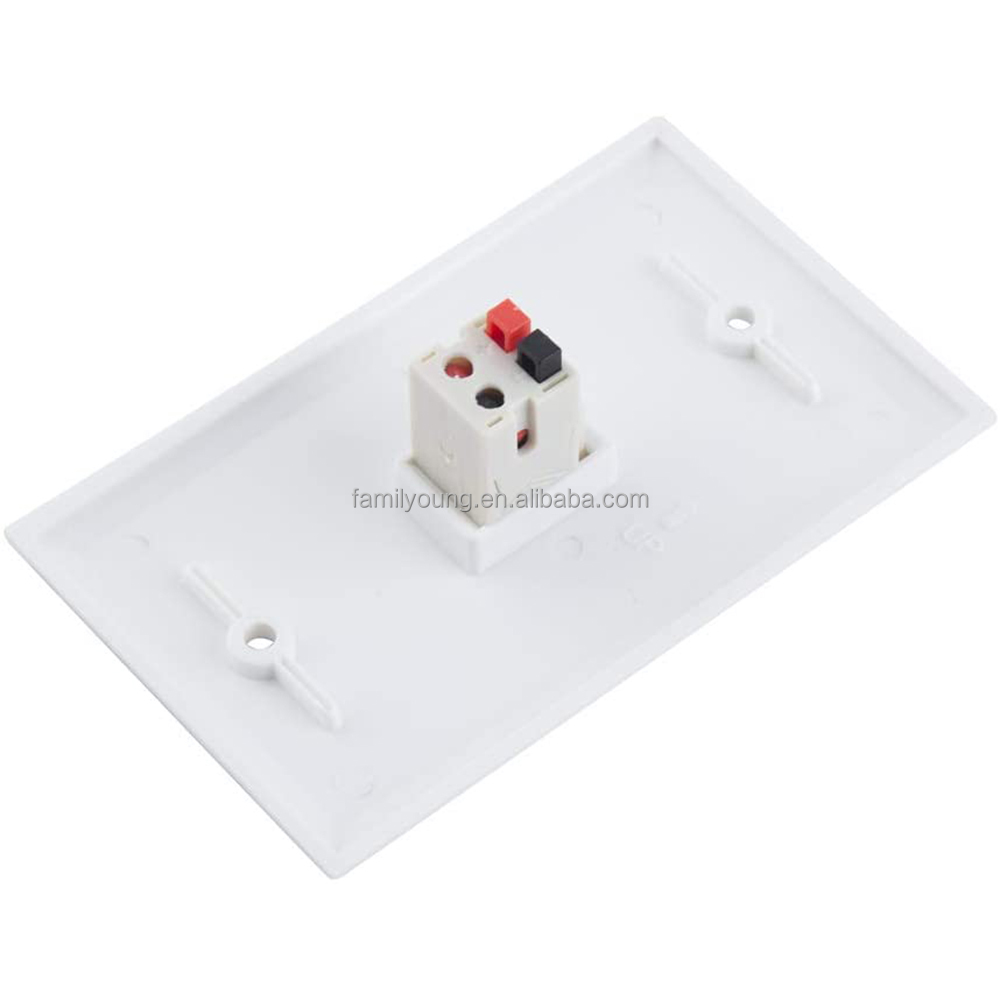 TENINYU 2-Port Speaker Jack Module Keystone Single Gang Wall Plate For Home Theater