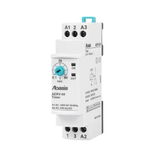 Hot Koop Din Rail (0.1-60Min) AERV-60D ERV-60D Multifunctionele Tijdrelais Elektrische Vertraging Op Timer