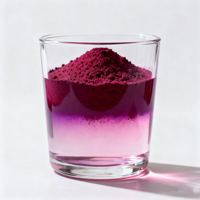 Poudre d'extrait de jus de racine de betterave rouge biologique en poudre de betterave naturelle pure en vente en gros d'usine