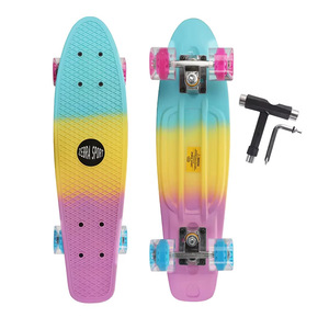 Zebra Sport 22 Inch <b>Mini</b> Skateboard With Pink Blue Yellow Gradient Deck For Youth Beginners Street Use - Product Image 1