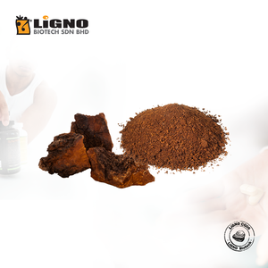ผู้ผลิตมาเลเซีย Chaga LiGNO CG06 ได้รับการรับรองฮาลาลและโคเชอร์ เกรดเครื่องสำอาง OEM ODM วัตถุดิบบำรุงผิว - Product Image 1