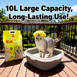 Litière pour chat DongnaiPETS écologique, jetable, à agglomération rapide, 99% sans poussière, anti-odeurs, 8 kg, gris et blanc - Product Image 1