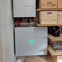 Batteries solaires au lithium-ion LiFePO4 Dyness Powerbox G2 10,24 kWh 51,2 V 200 Ah IP65 à prix abordable pour usage domestique