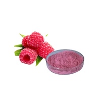 Longze Supply - Polvo de Fruta de Frambuesa Natural, Flavonas, Rico en Vitamina C