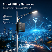 Amplificateur de signal LoRa réglable 22 dBm BLE 5.0 étanche IP65 portée visuelle 5-15 km pour les réseaux de canalisations municipales et l'IoT urbain