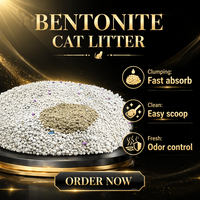 Litière pour chat en bentonite Humid Climate Pro, formule anti-imbibation, contrôle extrême des odeurs, sable d'argile de sodium, vente en gros en vrac