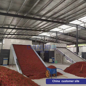 Secador automático de aire caliente para verduras, zanahorias, chiles y pimientos, horno de secado con bandejas, línea de procesamiento para el secado de zanahorias - Product Image 2
