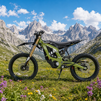 SUR-RON Light Bee 2 X NA Bras oscillant en alliage d'aluminium forgé 24kW Haute rigidité Moto électrique tout-terrain de course pour adultes CE