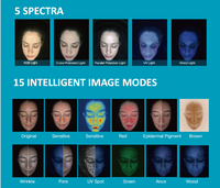 Analyseur de peau facial 3D Magic Mirror MC88, analyseur à cinq spectres, compatible EU/US/JP, multilingue, garantie de 12 mois