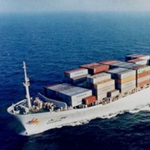 Servizio Economico di Spedizione BHC Porta a Porta LCL+Express via Mare dalla Cina agli USA, Gestione Merci Pericolose con Assicurazione, 15-30 Giorni - Product Image 1