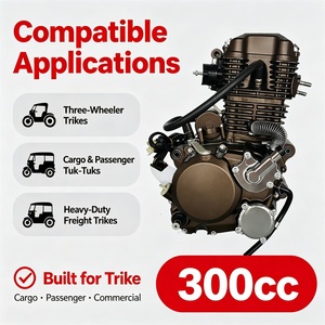 Moteur monocylindre 300cc 4 <span class=keywords><strong>temps</strong></span> CDI neuf à triple refroidissement pour tricycle, assemblage direct usine OEM - Product Image 2