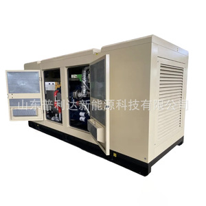 Generador de Gas Natural de 200kw, Refrigerado por Agua, Arranque Eléctrico de 12v, 50hz, 400v, Ip54, Uso Doméstico - Product Image 3